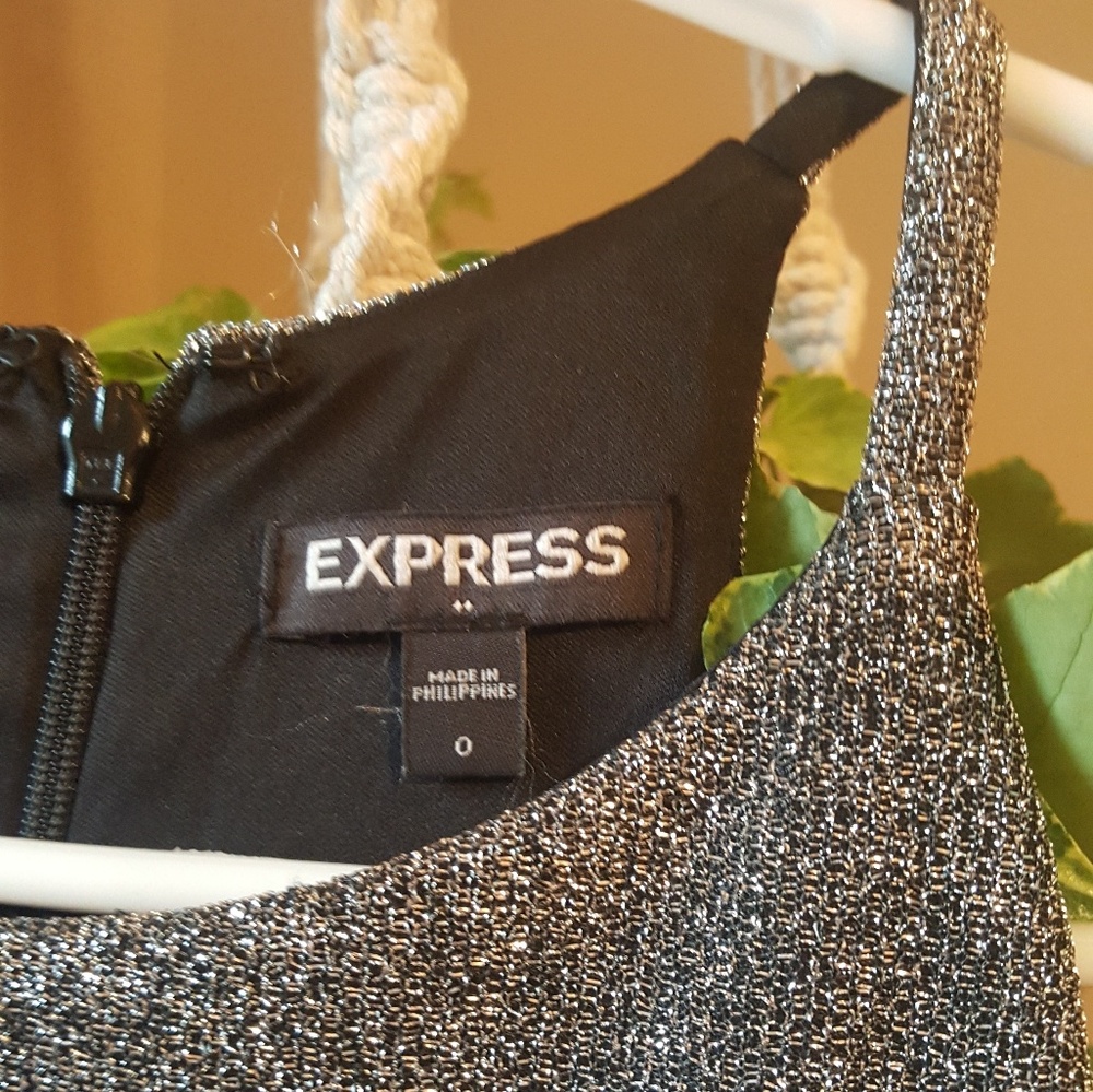 Express sparkly silver dress